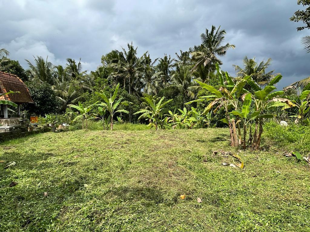 Dijual Tanah Ubud Gianyar - 0