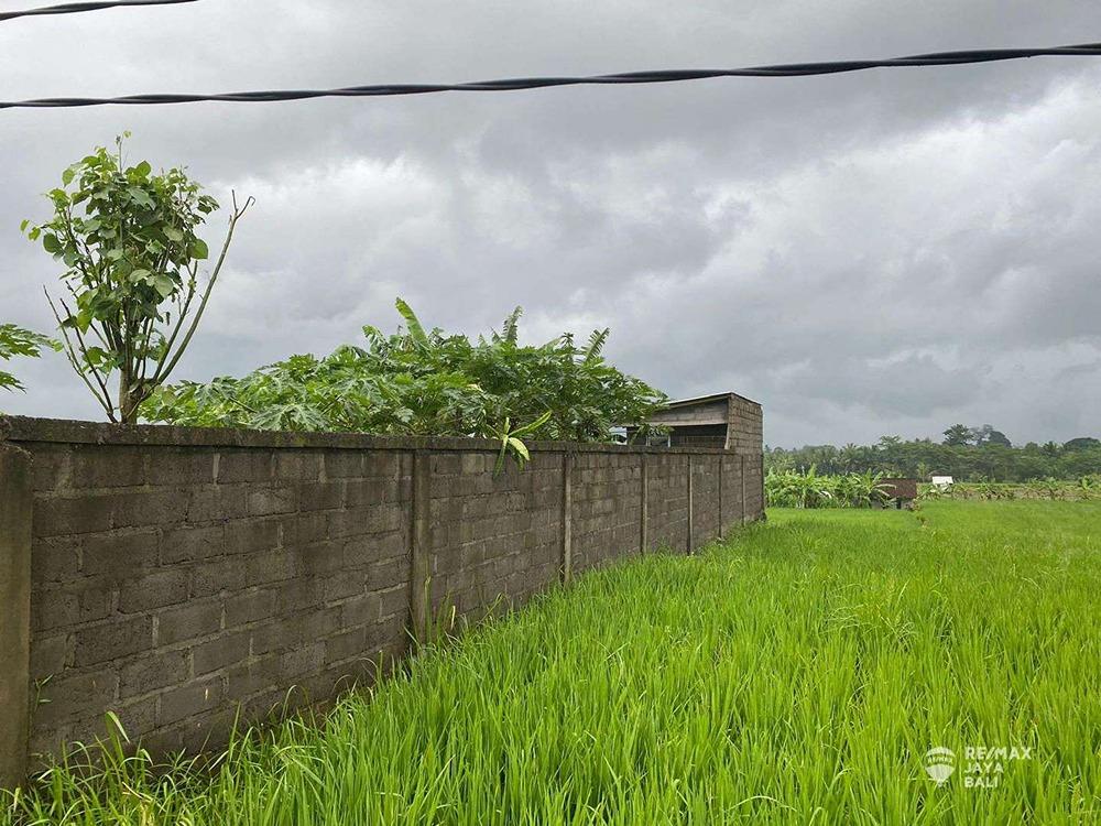 Tanah Disewakan Cocok Untuk Villa, area Badung - 0