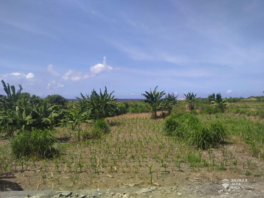 Tanah Premium View Pantai Disewakan, area Denpasar Selatan - 3