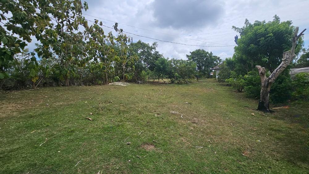 Land for Sale in Ungasan - 3