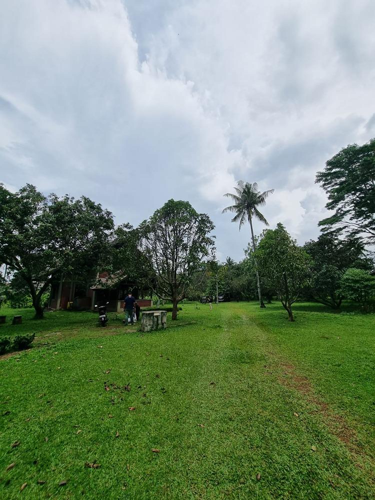 JARANG ADA. Dijual Tanah Komersial 2 hektar dekat Bintaro Pinggir Jalan - 3