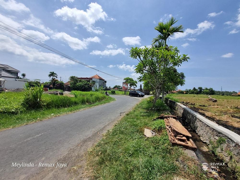 Tanah Bagus Di Jalan Besar View Sawah  Dijual, area Ubud - 3