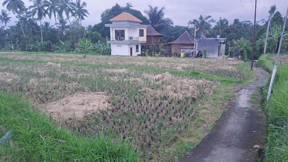 Beautiful Land For Sale,Tegalalang Area - 1