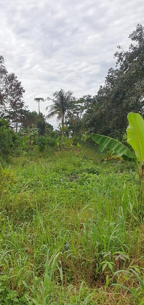 DI JUAL LAHAN KAWASAN CIBINONG BOGOR - 2