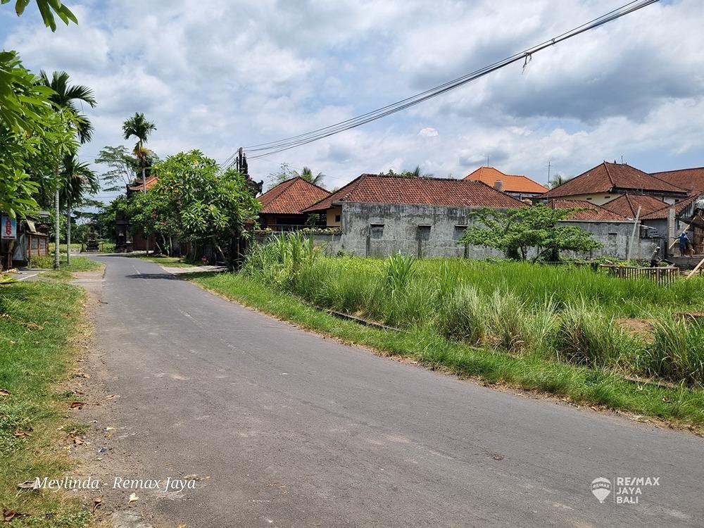 Tanah Bagus Di Jalan Besar View Sawah  Dijual, area Ubud - 2