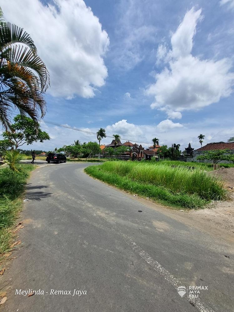 Tanah Bagus Di Jalan Besar View Sawah  Dijual, area Ubud - 0