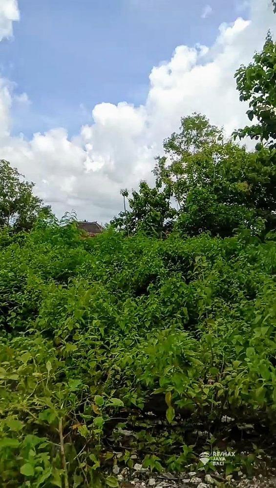 Tanah 83 are Siap Dibangun Dijual, area Uluwatu - 0