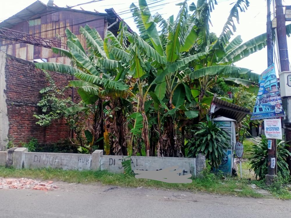 Dijual Lahan Pangsud - 0