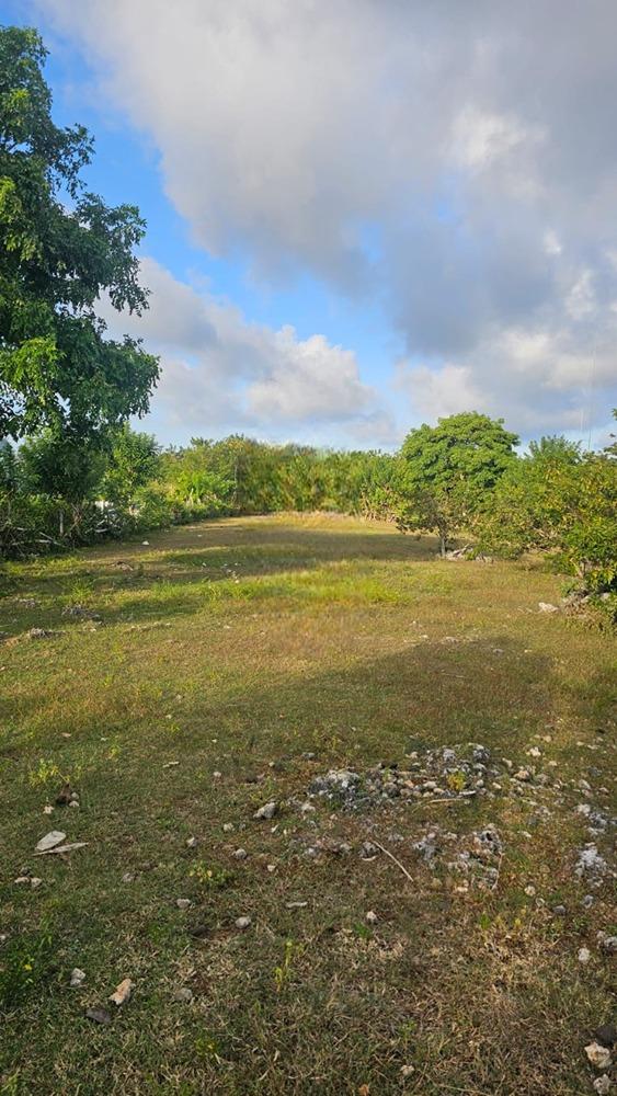Land for Lease in Ungasan  - 2