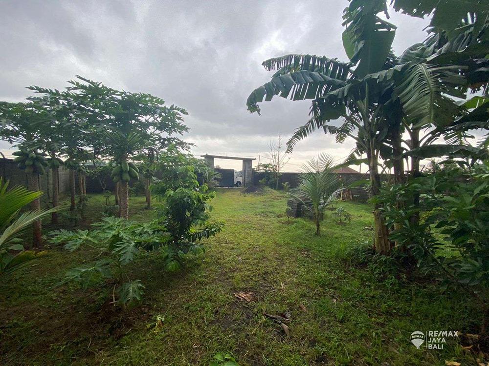 Tanah Disewakan Cocok Untuk Villa, area Badung - 1