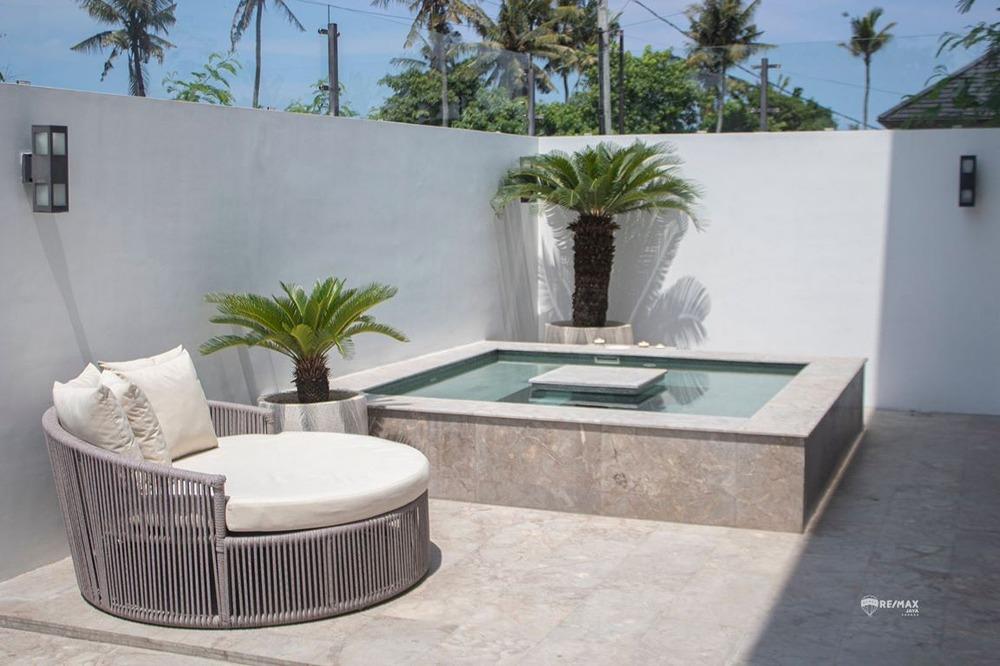 Villa Stunning with Jacuzzi For Sale, Canggu Area - 2