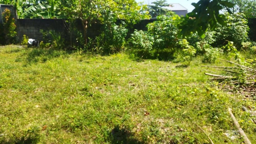 Tanah Resident Komersil Dijual Lokasi Strategis, area Nusa Dua - 3