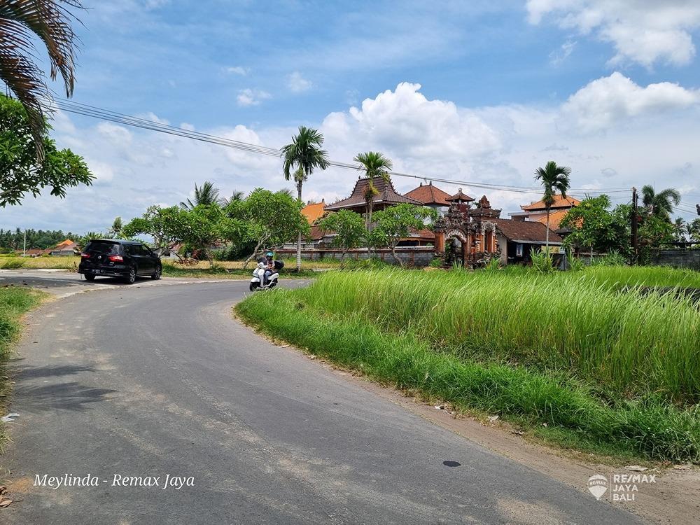 Tanah Bagus Di Jalan Besar View Sawah  Dijual, area Ubud - 1