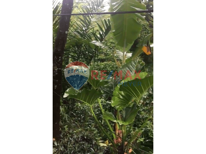 DIJUAL Tanah kebun di Sentul-Bogor - 3