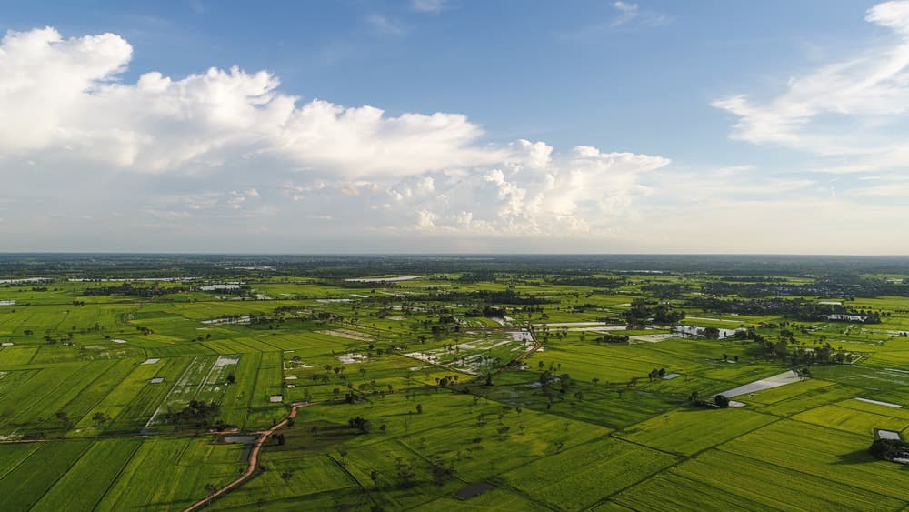 Apa Itu Sporadik Tanah? Pengertian, Syarat, dan Cara Membuat